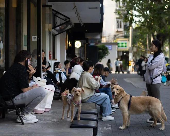 了双11爱上了“老年严选”OG视讯这届脆皮年轻人抛弃